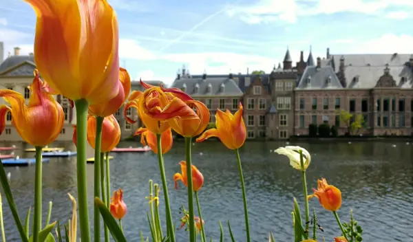 Binnenhof G590afe414 1280 Pixabay